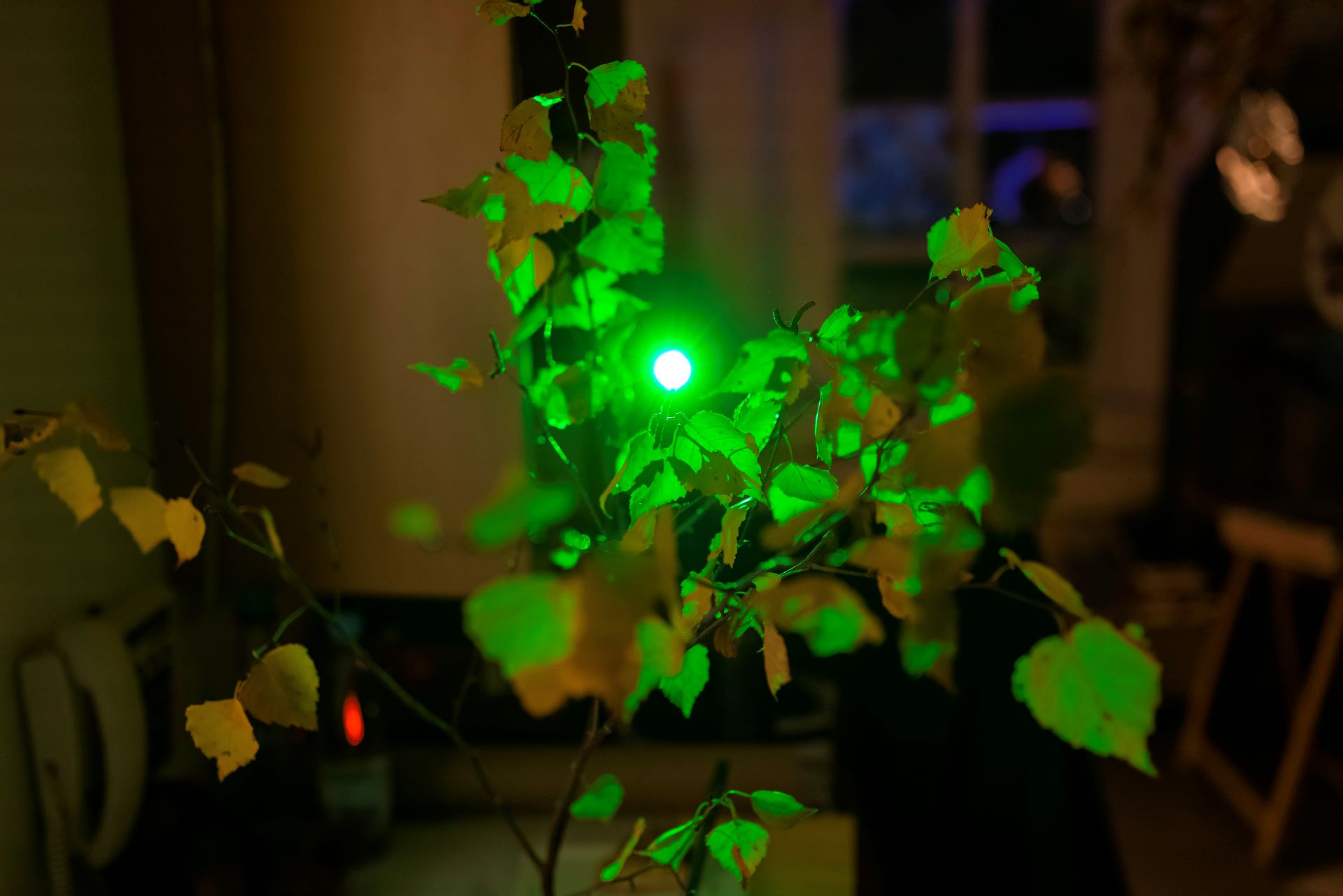 68 Sternennacht